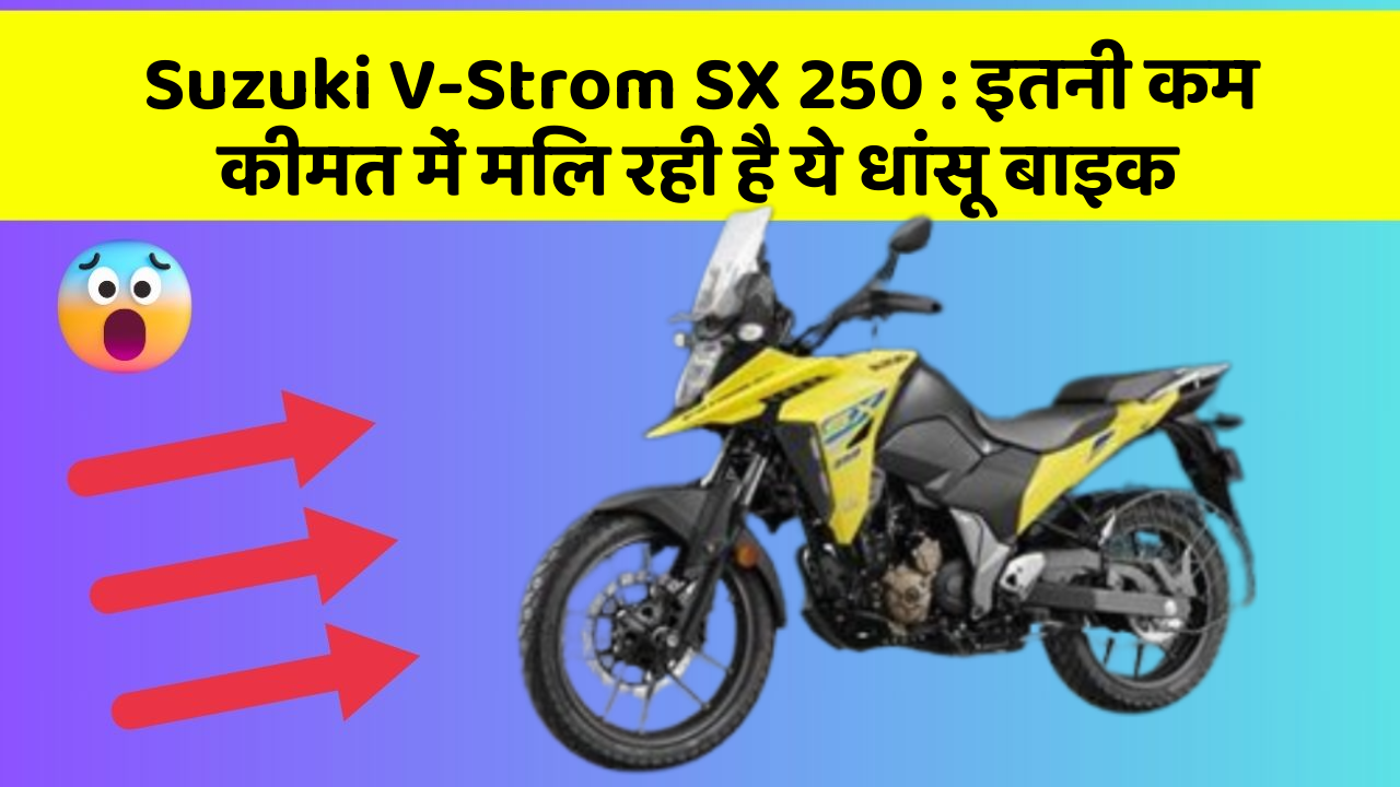 Suzuki V-Strom SX 250: इतनी कम कीमत में मिल रही है ये धांसू बाइक
